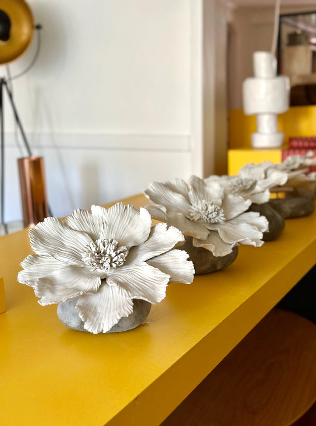 SPECIAL EDITIONS :: FLORA.