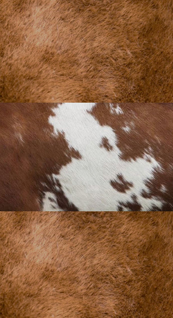 COWBLU :: SKETCHBOOKS.