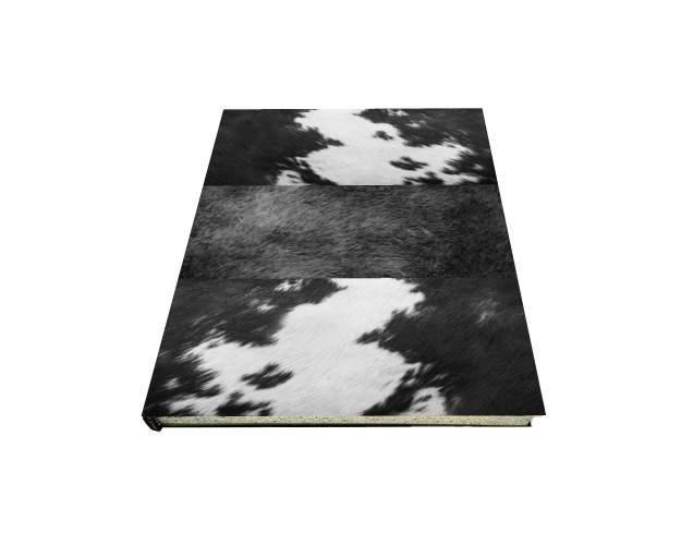 COWBLU :: SKETCHBOOKS.