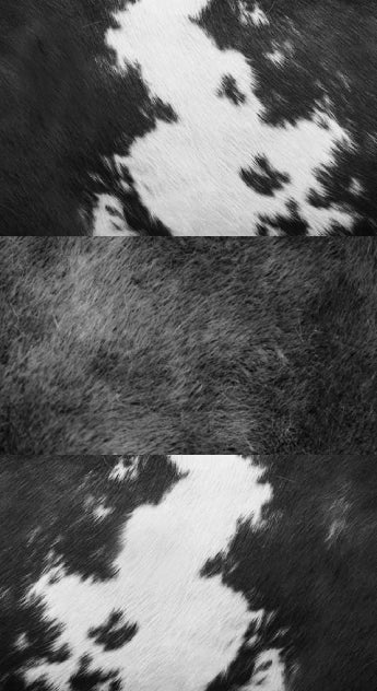 COWBLU :: SKETCHBOOKS.