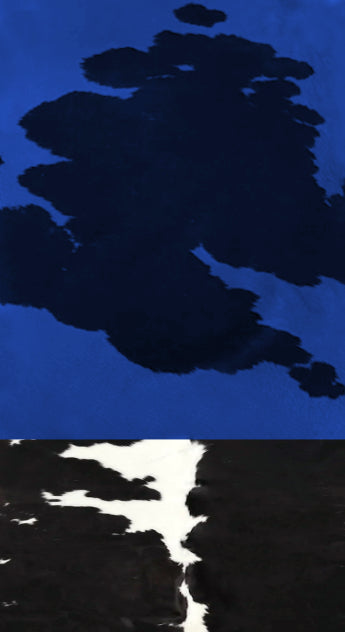 COWBLU :: SKETCHBOOKS.