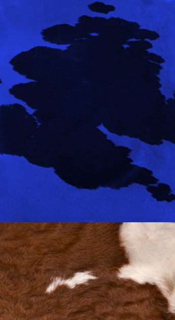 COWBLU :: SKETCHBOOKS.