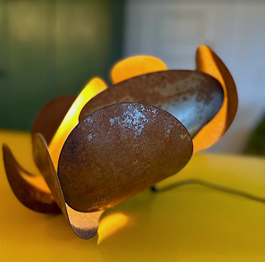 SPECIAL EDITIONS :: METAL LIGHT FIXTURE.