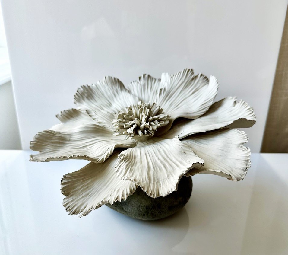 SPECIAL EDITIONS :: FLORA.