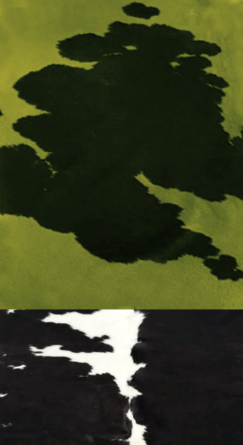 COWBLU :: SKETCHBOOKS.