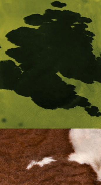 COWBLU :: SKETCHBOOKS.