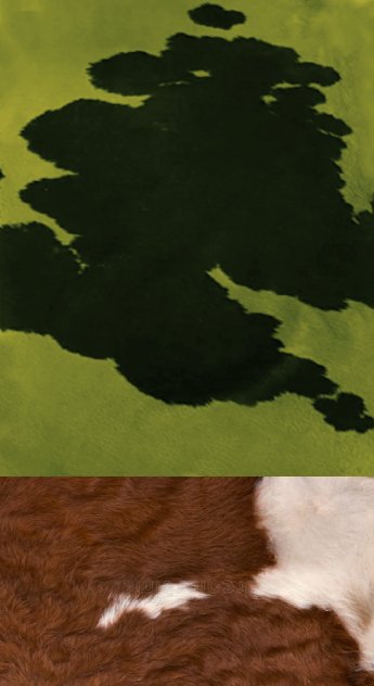 COWBLU :: SKETCHBOOKS.