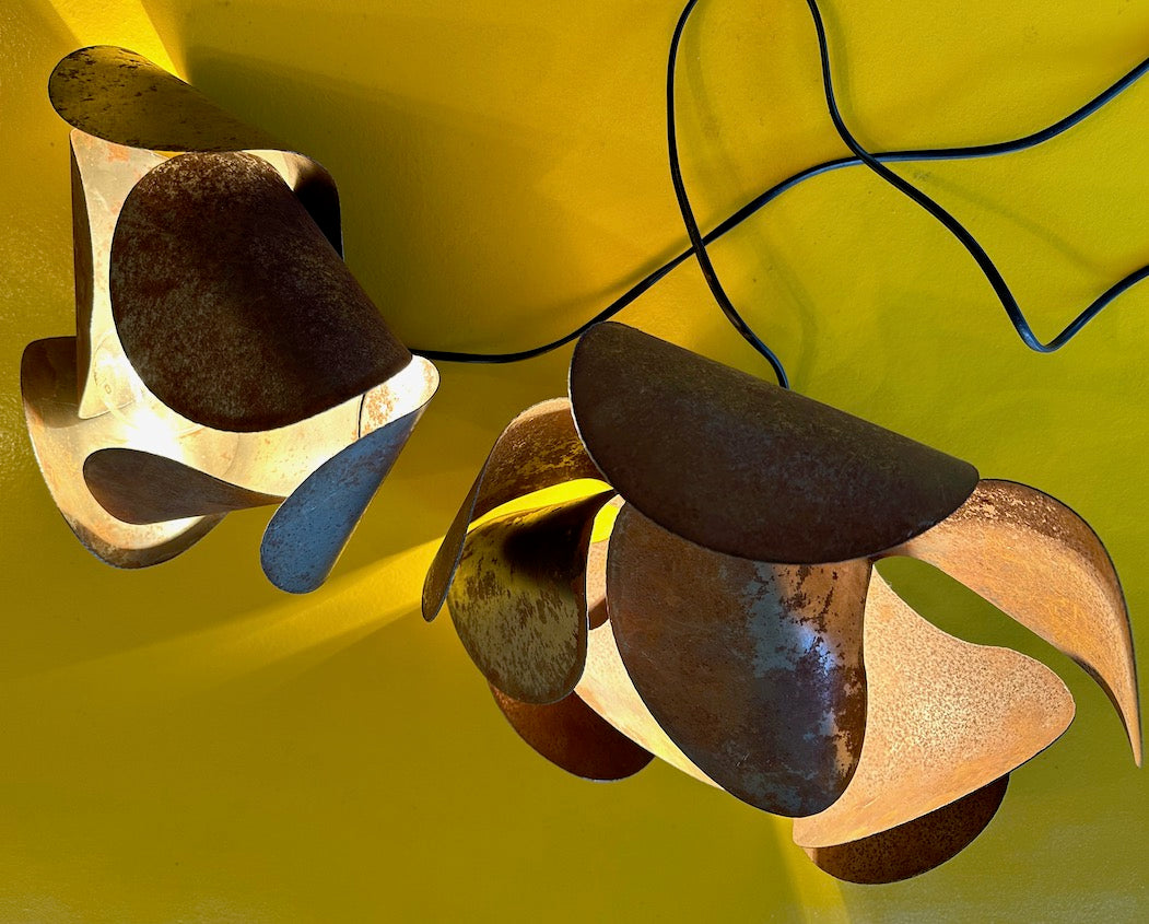 SPECIAL EDITIONS :: METAL LIGHT FIXTURE.