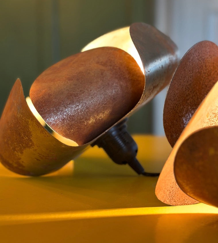 SPECIAL EDITIONS :: METAL LIGHT FIXTURE.