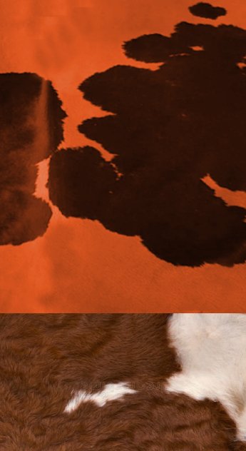 COWBLU :: SKETCHBOOKS.